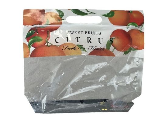 Embalaje de alimentos personalizado Bolsa de cremallera para frutas con agujero perforado